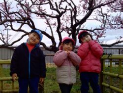 PICT0024