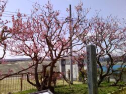 PICT0132