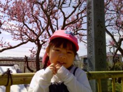 PICT0136