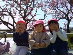 PICT0140