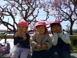 PICT0141