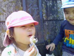 PICT0586