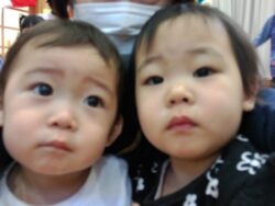 KODAK Digital Still Camera