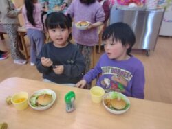 KODAK Digital Still Camera