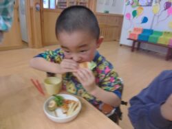 KODAK Digital Still Camera