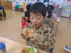 KODAK Digital Still Camera