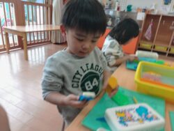 KODAK Digital Still Camera