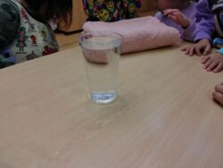 KODAK Digital Still Camera