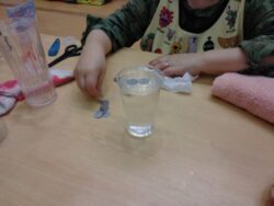 KODAK Digital Still Camera