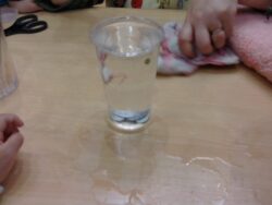 KODAK Digital Still Camera